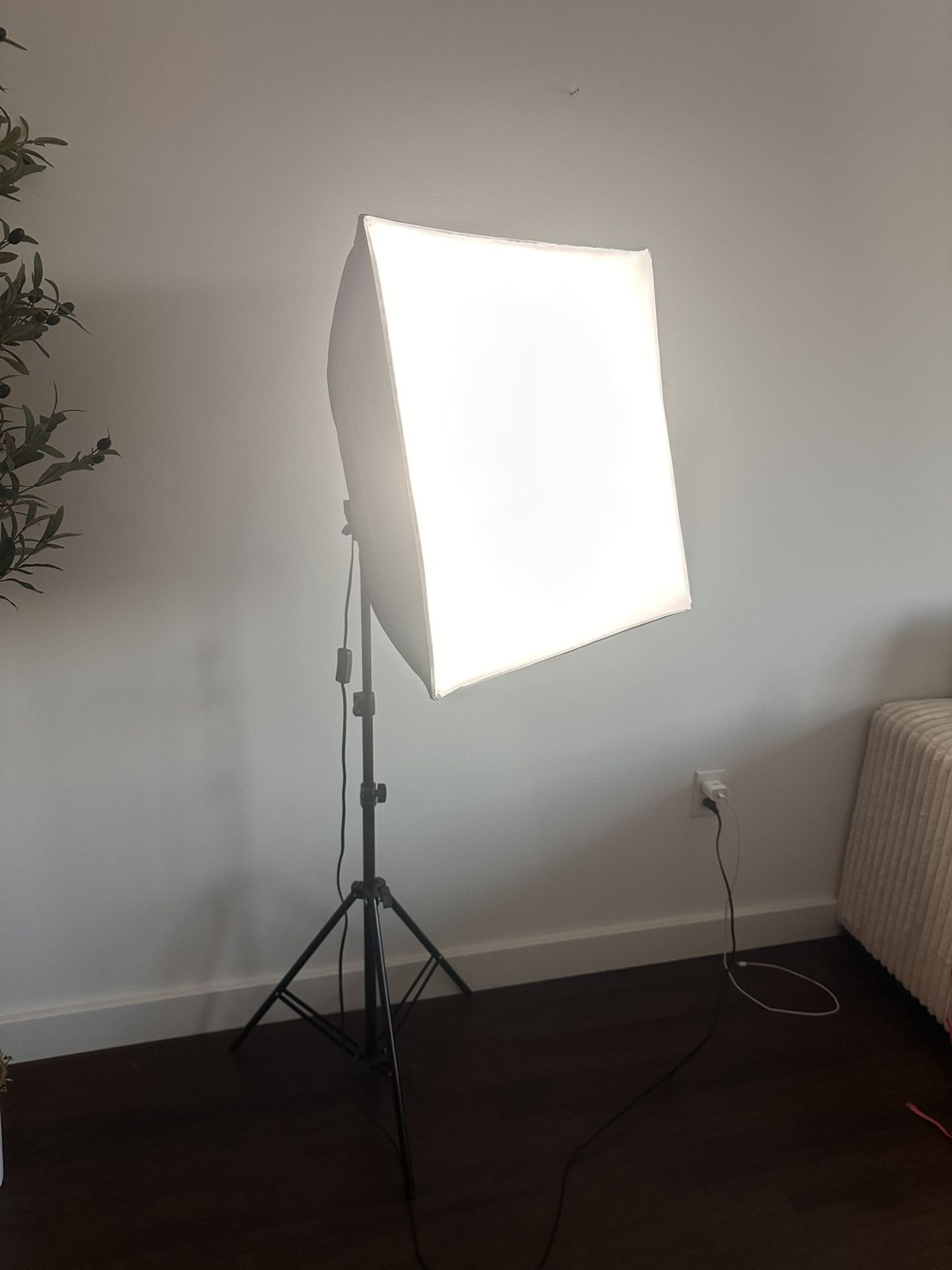 Studio Video Light With Temperature Changing Bulb