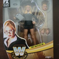 WWE Series 15 Stacy Kibler Action Figure 