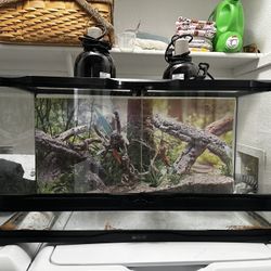 40 Gallon Reptile Tank 