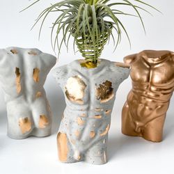 Unique Air Plant Holder | BRAND NEW Boho Décor Air Plant Holder | Gift for Her | Man Body Sculpture Concrete Man Bust Desk Accessories Torso Figurine