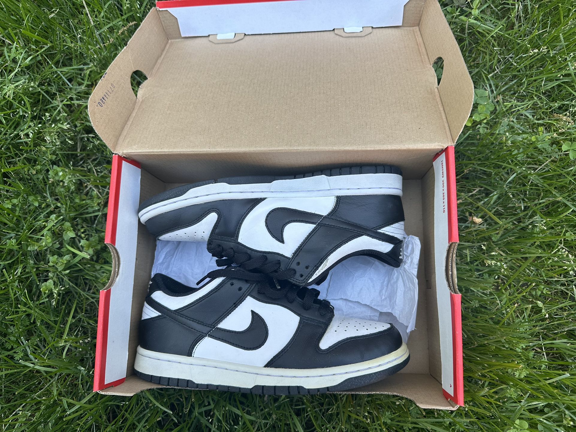 Nike Dunks