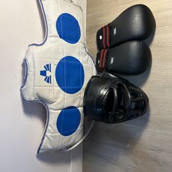 Head Gear w/Cage, Boxing Gloves, BMA Reversible Chest Guard 