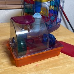 Ray / Hamster Cage 