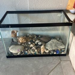 Fish Or Turtle Tank