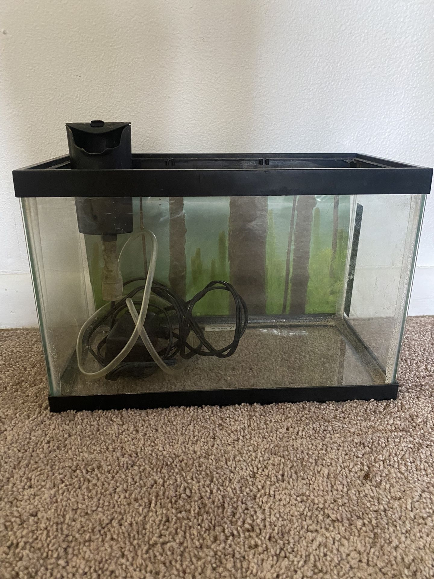 2.5 Gallon Tank With Mini Air pump And Filter
