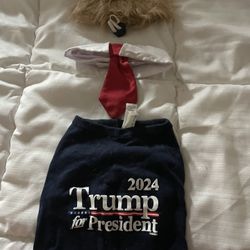Dog Trump Short Wig And Tie Size S
