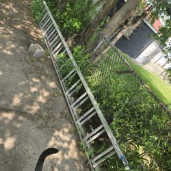 Ladder