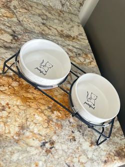 Cat bowls