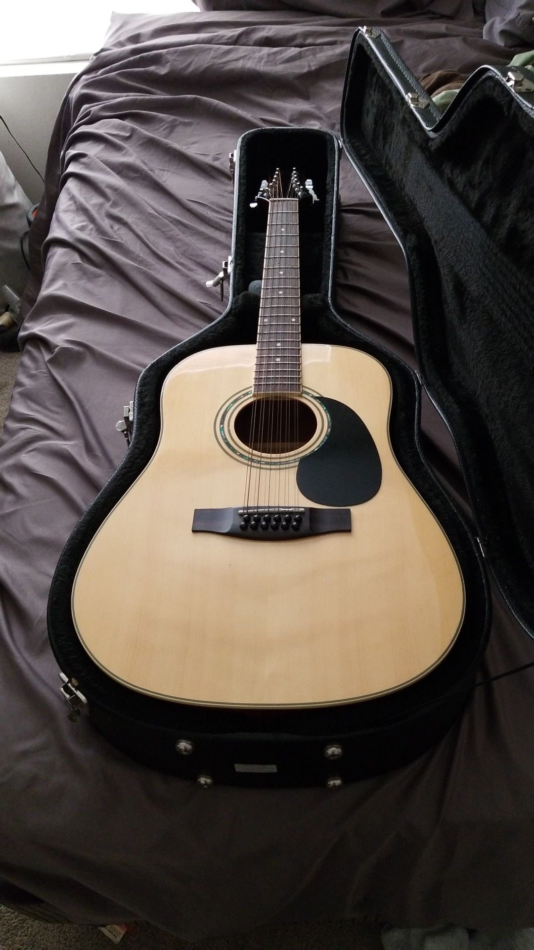 Mitchell 12 string acoustic-electric with Hard Case