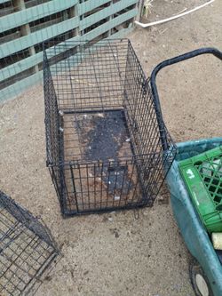 Dog cage