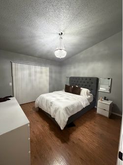 $60 Bedframe
