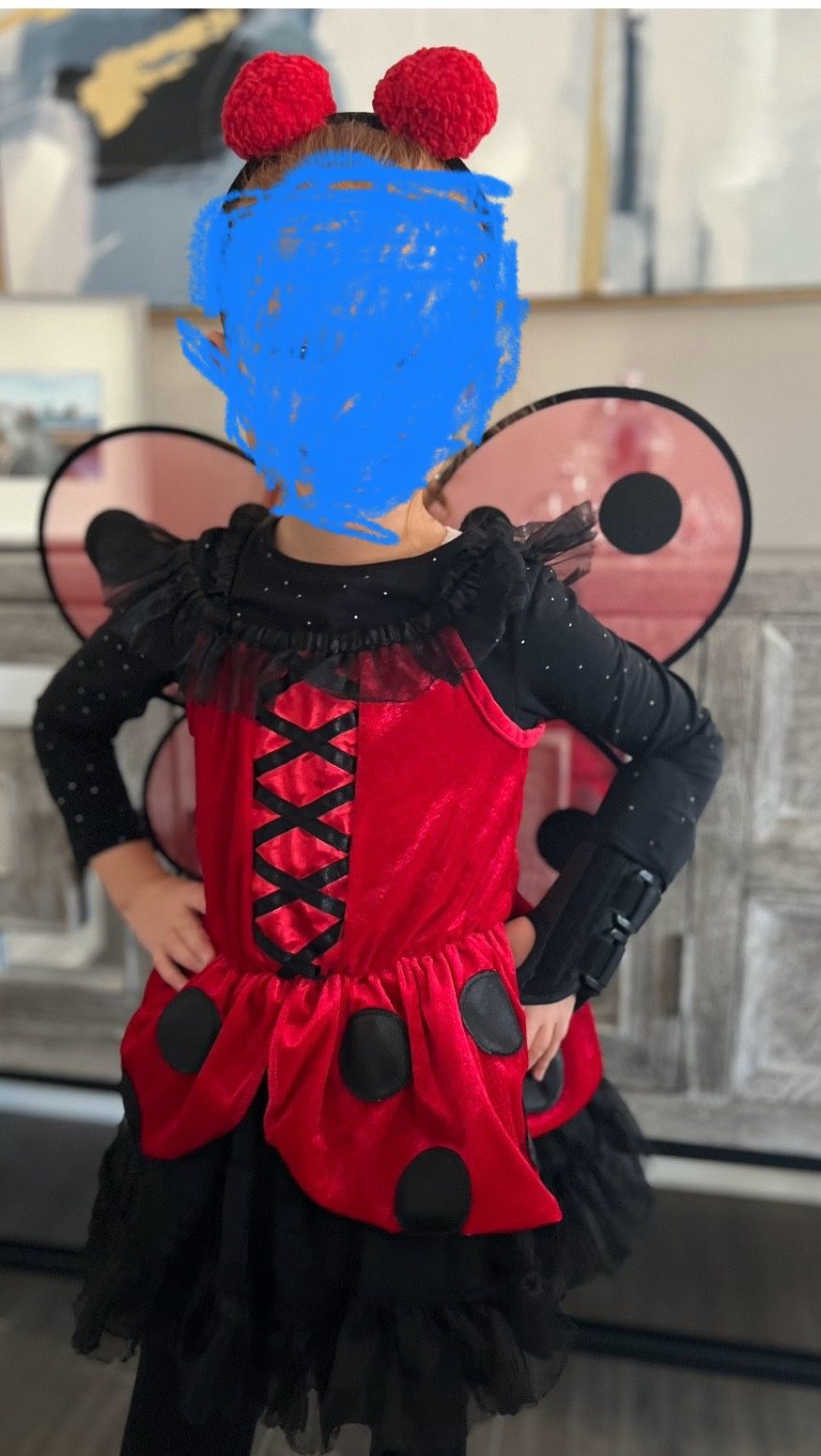 Toddler Girl Ladybug Halloween Costume