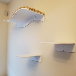 Cat shelves 