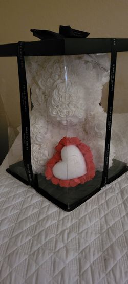 Teddy Bear In Display Box