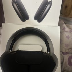 Apple max headphones 