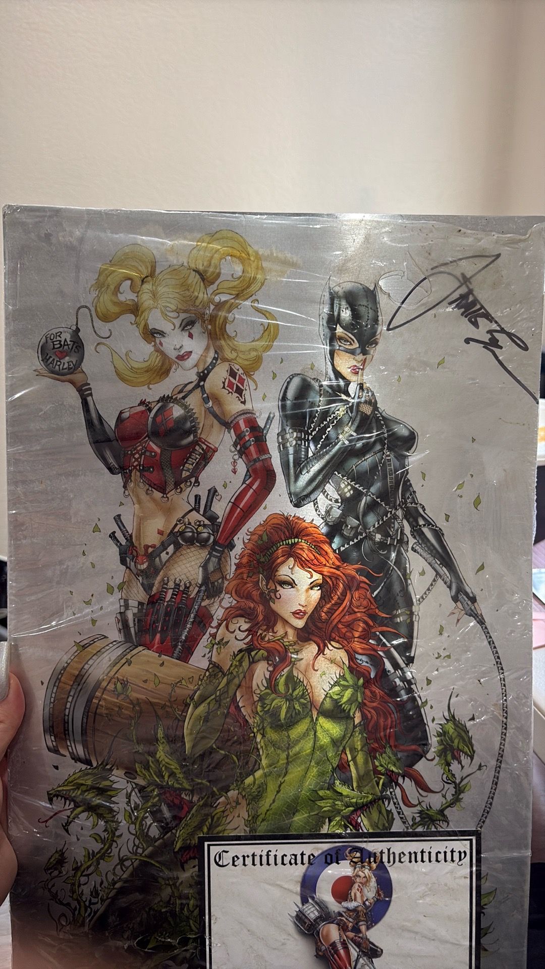 Signed Metal Jamie Tyndall DC illustration