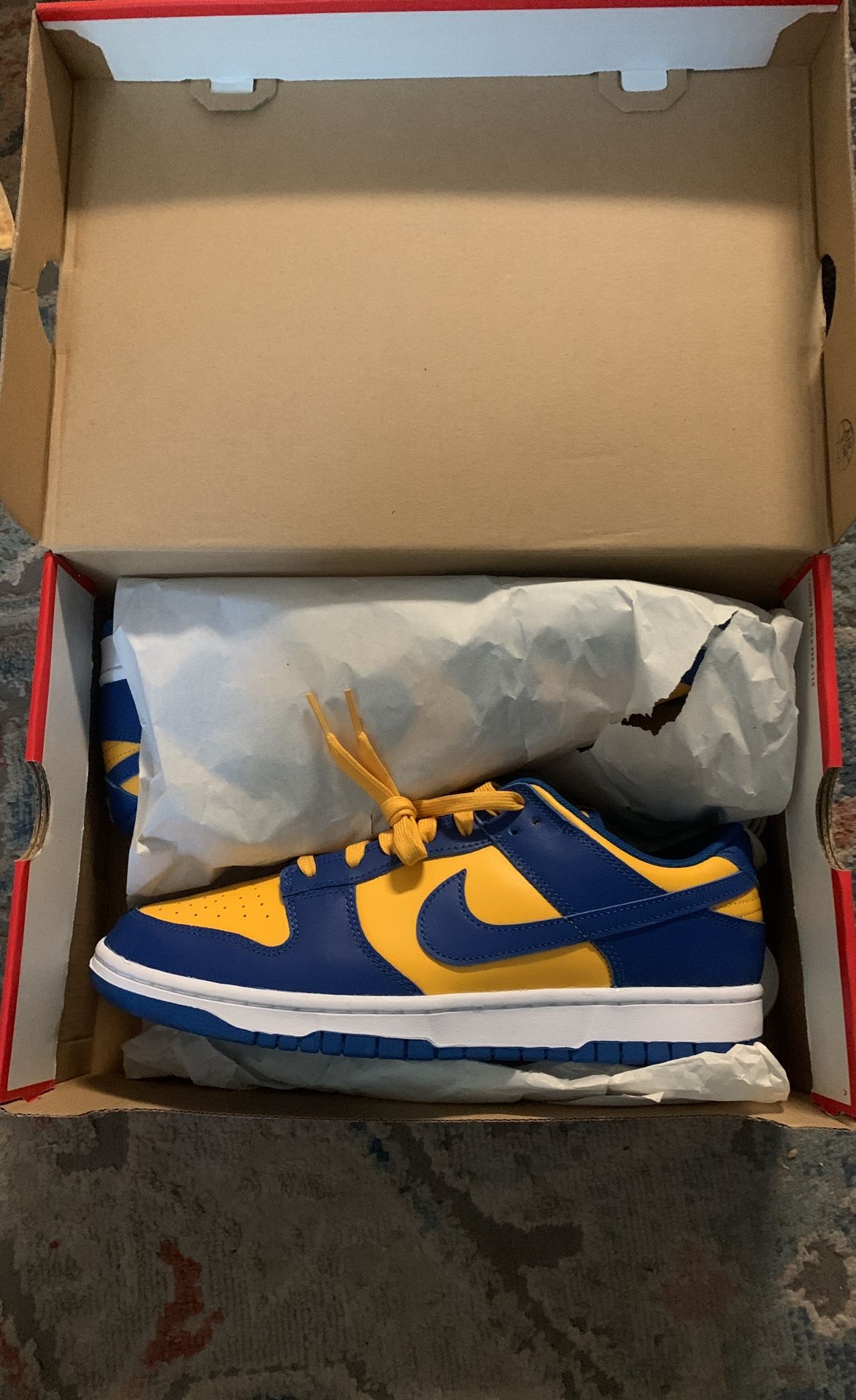 Nike Dunk Low Retro Size 10