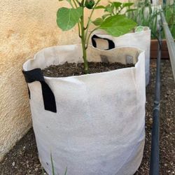 Fabric Grow Bags for Plants
