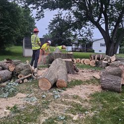 Firewood - FREE