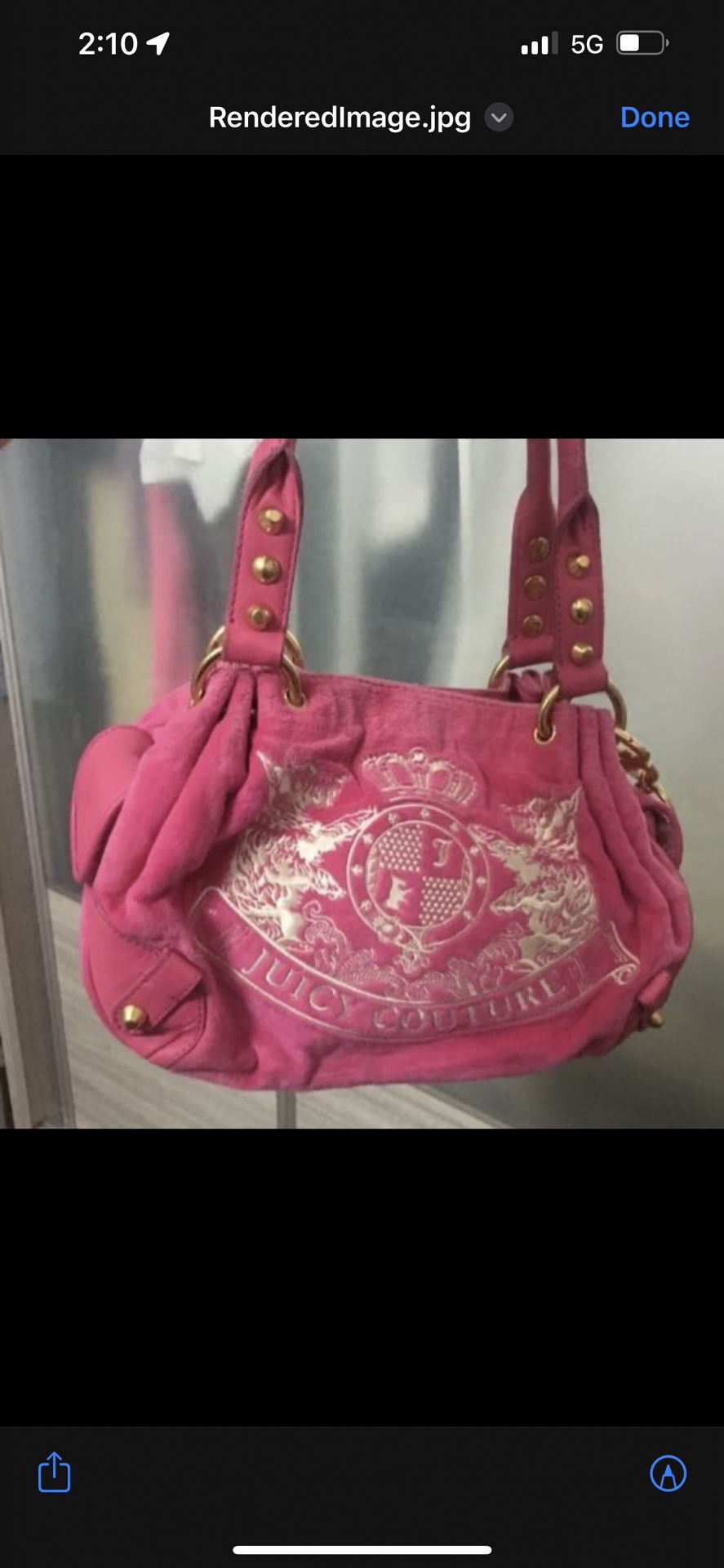 Juicy Couture Purse ISO