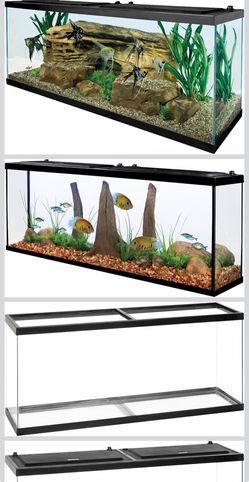 55 Gallons aquarium starter kit