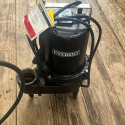 Everbilt 3/4 HP Sewage Ejector Pump