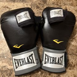 Everlast Boxing Pro Style Training Gloves 14oz Level I