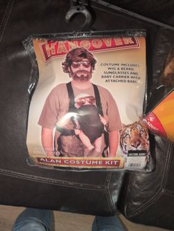 The Hangover Alan Costume 
