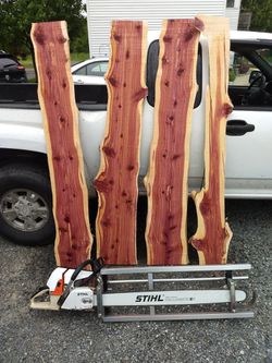 Wanted down trees for chainsaw milling