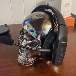 Blue Parrott B450-XT