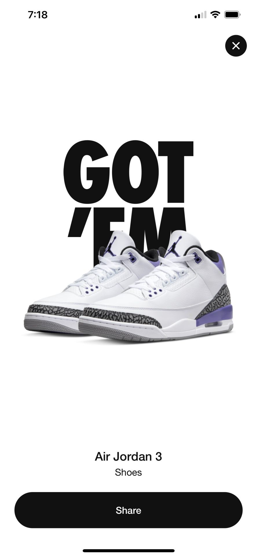 Jordan 3 Dark Iris Size 13