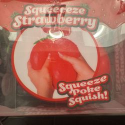 Large Strawberry Squish 