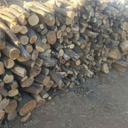 Seasoned Orange Tree Firewood