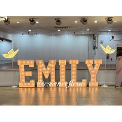 Marquee Letters And LED Butterflies 