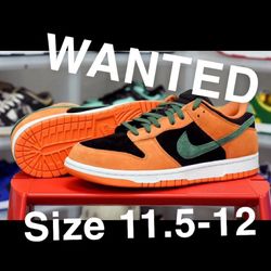 Nike Dunk Size 11.5 - 12