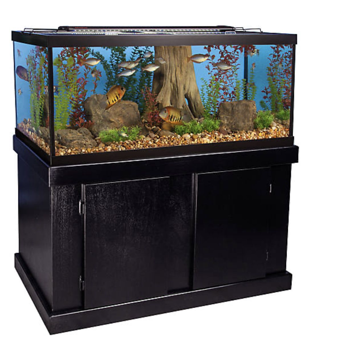 75 gallon aquarium & stand for sale