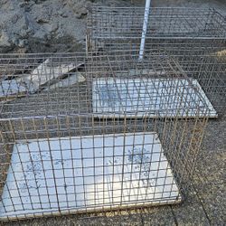 Cages