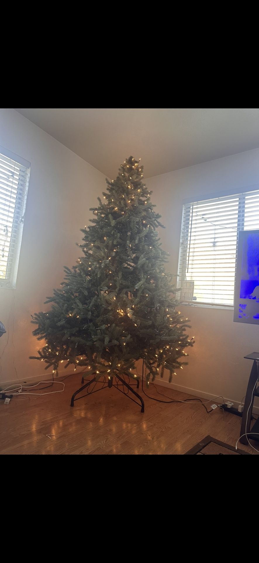 7,5 Half of the lights don’t work. Comes with tree bag