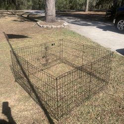 Dog Pen