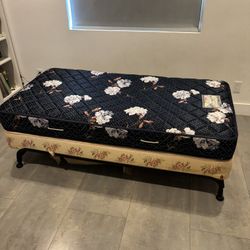 Twin Bed. Mattress, Box Spring And Frame. FREE