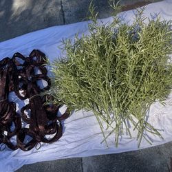 Various Christmas Decorations
