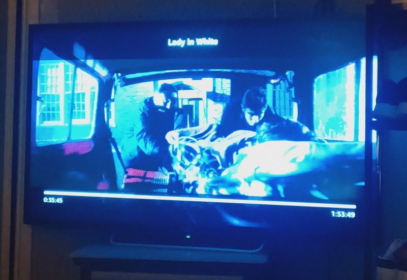 55 Inch Sony Flat Screen Tv