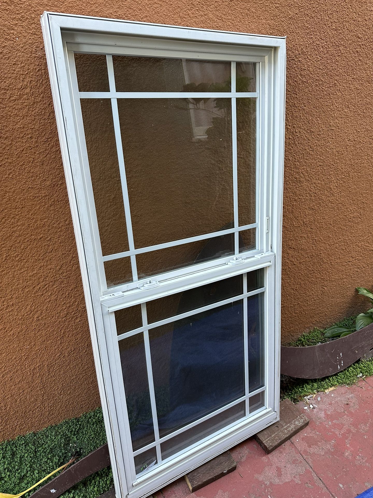 Double Pain Window  (60 1/2  X  29 3/4)