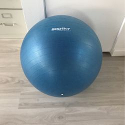 Body Fit Exercise Ball