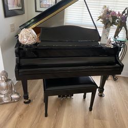 Samick Baby Grand Piano In Gorgeous Ebony