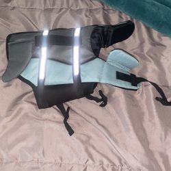 Shark dog swim floatie