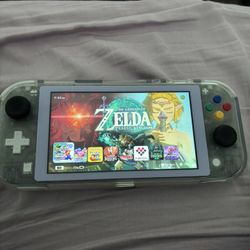 Nintendo Switch Lite / custom Shell 