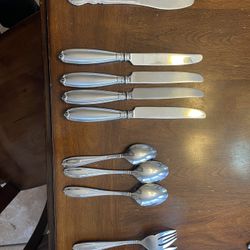 Princess House Silverware 