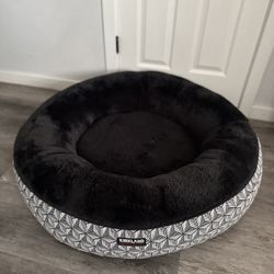 dog bed 