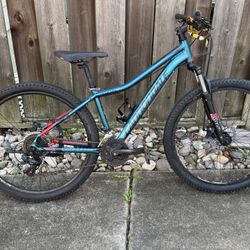 Cannondale Mountain Bike